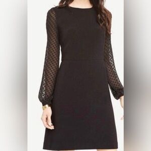 Ann Taylor Black Long Sleeve Dot-Sleeve A-Line Dress